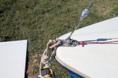 PXL_20250904_113543536-scaled