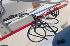 PXL_20250904_113631391-scaled