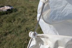 PXL_20250904_114344777-scaled