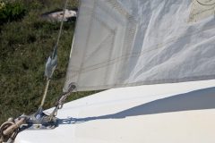 PXL_20250904_114707018-scaled